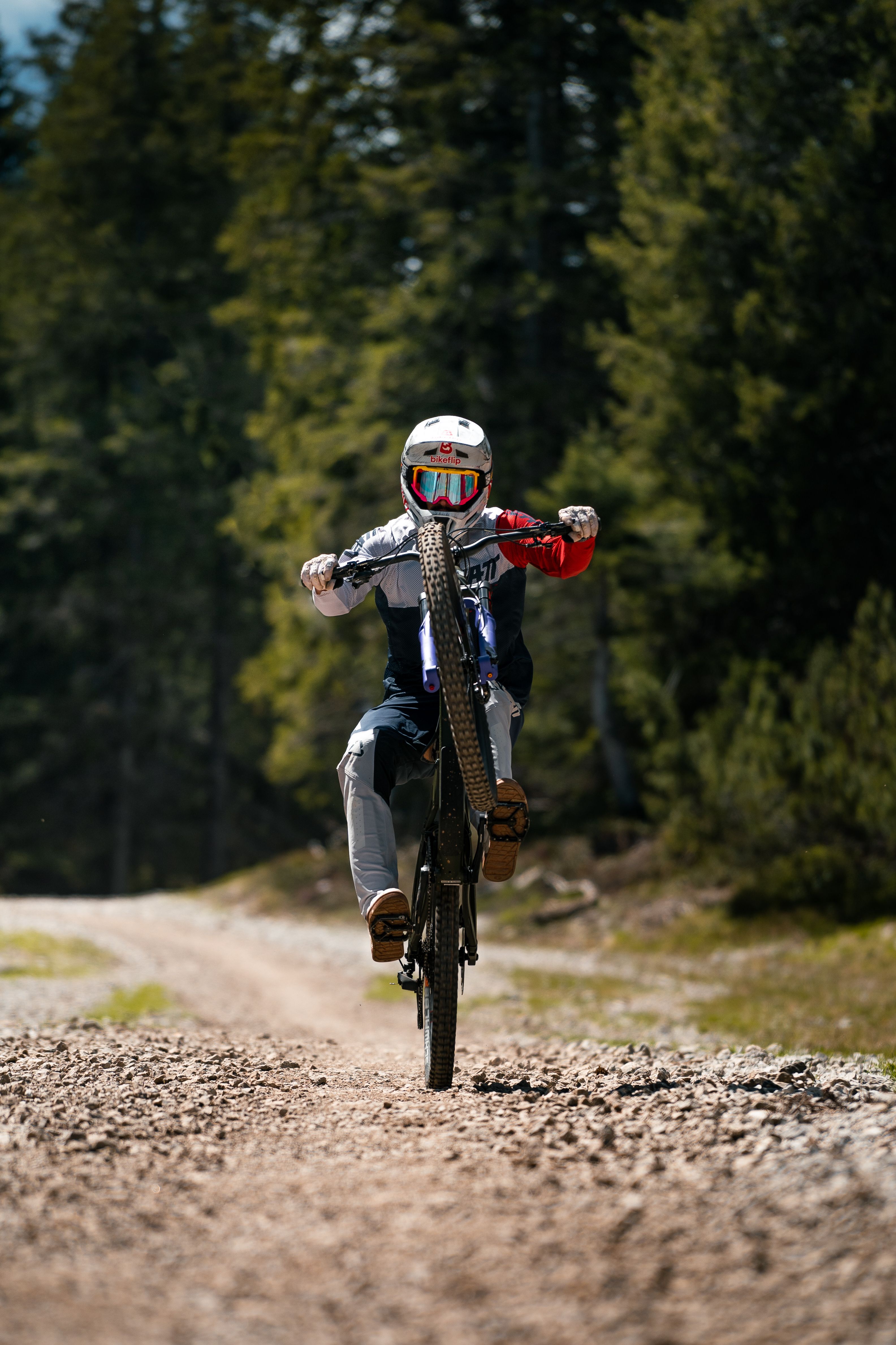 Rider enjoying the trails at Paganella Bike Park, Trentino, Italy. Photo: Andrea Maranelli.