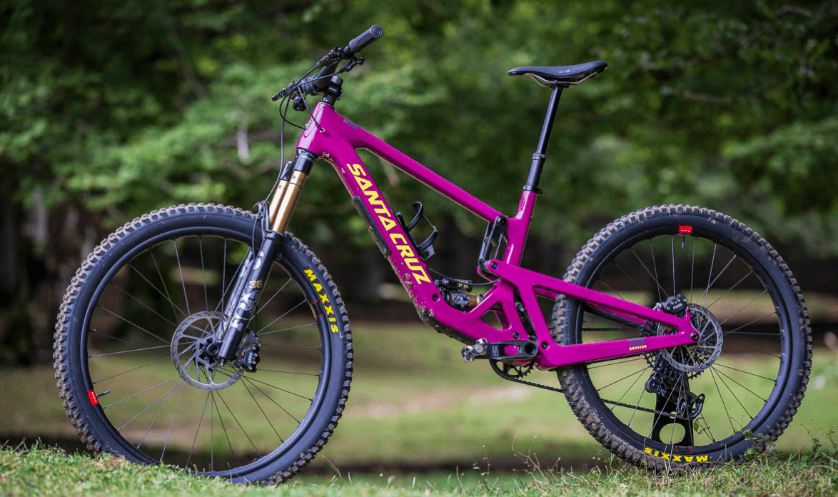 Santa Cruz Bronson