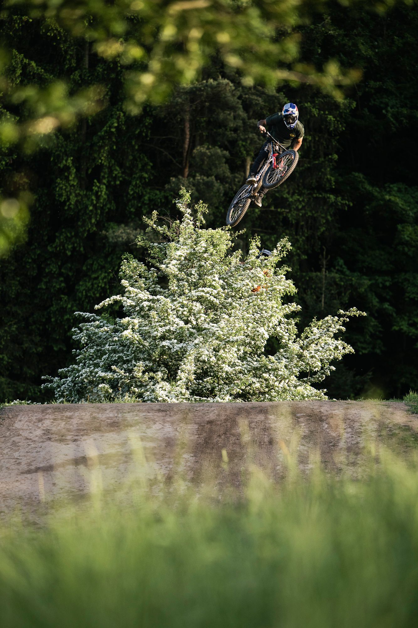 Rider in action on a mountain bike at a bike park
